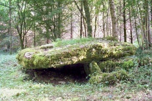 champagne 52 nogent vestiges historiques dolmen la pierre tournante mdt52.
