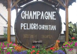 champagne 52 colombey terroir champagne peligri mdt52 068.