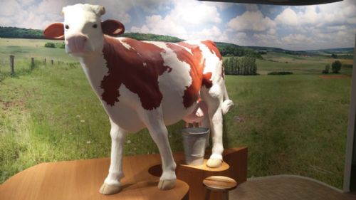 champagne 52 illoud nohmad la divine fromagerie mirabelle.