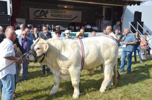 champagne 52 montigny le roi foire agricole 1.