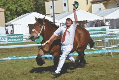 champagne 52 montigny le roi foire agricole 2.