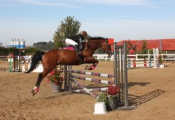 otnogent agenda cerclehippiquenogentais concours.