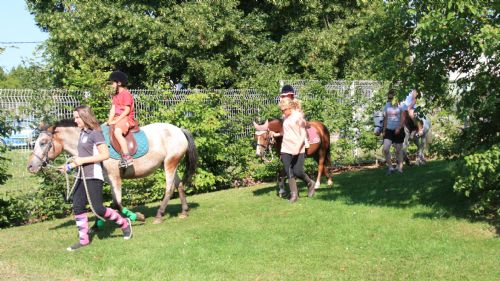 otnogent agenda cercle hippiquenogentais bapteme poney.