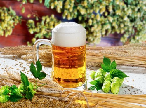 nogent 52 ucia fete de la biere 1.