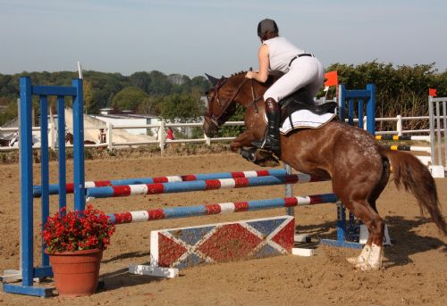 ot nogent agenda cerclehippique nogentais concours.