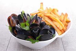 champagne 52 nogent nohmad agenda moules frites.