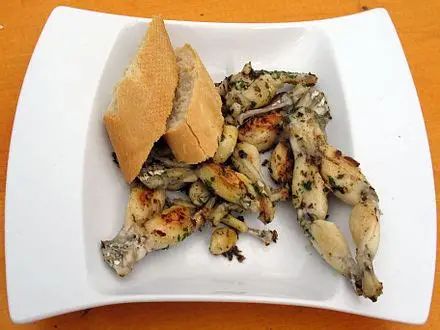 cuisses de grenouilles.