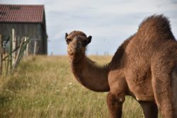 nogent 52 nohmad balade les bossus haut marnais.