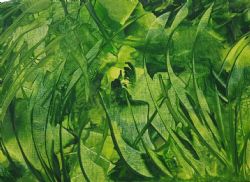 nogent 52 nohmad exposition lison hass 2.