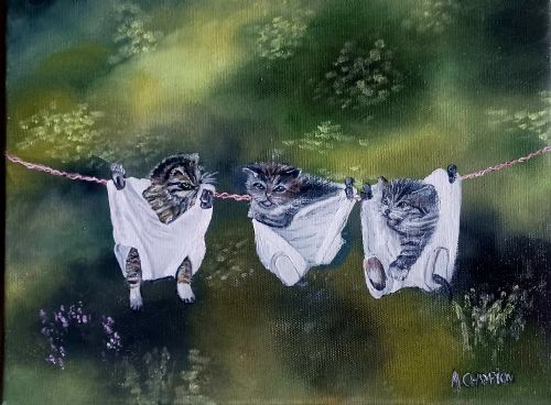 nogent 52 nohmad exposition a.champion chatons.