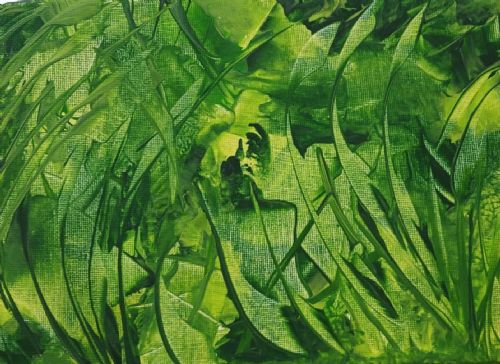 nogent 52 nohmad exposition lison hass 2.