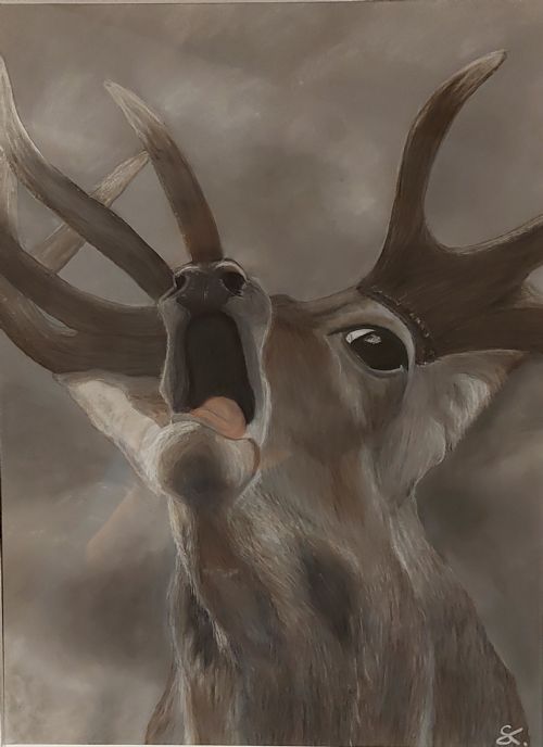 nogent 52 nohmad exposition sophie kleinert 2.