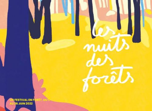 nogent 52 nuit des forets.