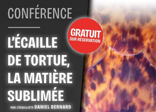 nogent 52 agenda musee coutellerie conference ecaille de tortue.