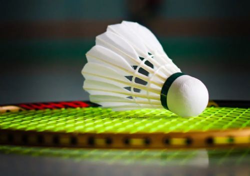 badminton2.