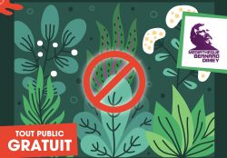 nogent 52 mediatheque atelier plantes toxiques.