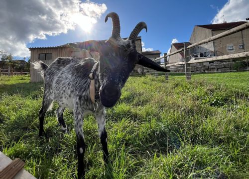 nogent 52 nohmad gite du joliment consigny 13.