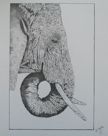 nogent 52 decalart elephant1.