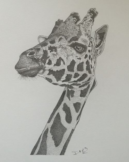 nogent 52 decalart girafe.