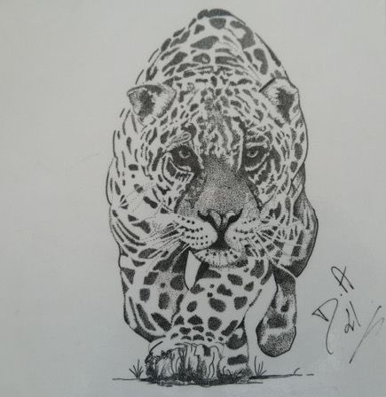 nogent 52 decalart leopard.