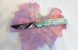 DUXIN ROBERT - LE BASSIGNOT