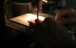 DUXIN ROBERT - LE BASSIGNOT DUXIN ROBERT - LE BASSIGNOT