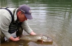 FÉDÉRATION DE LA PECHE ET LA PROTECTION DU MILIEU AQUATIQUE