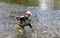 FDRATION DE LA PECHE ET LA PROTECTION DU MILIEU AQUATIQUE