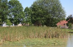 MANDRES-LA-COTE