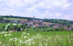 BOURDONS-SUR-ROGNON