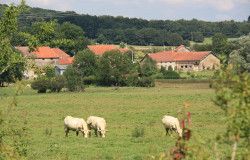ESSEY-LES-EAUX