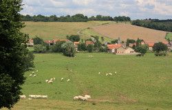 ESSEY-LES-EAUX