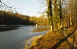 LANQUES-SUR-ROGNON