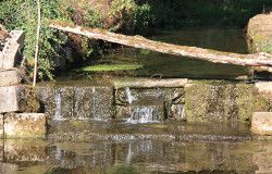 LANQUES-SUR-ROGNON